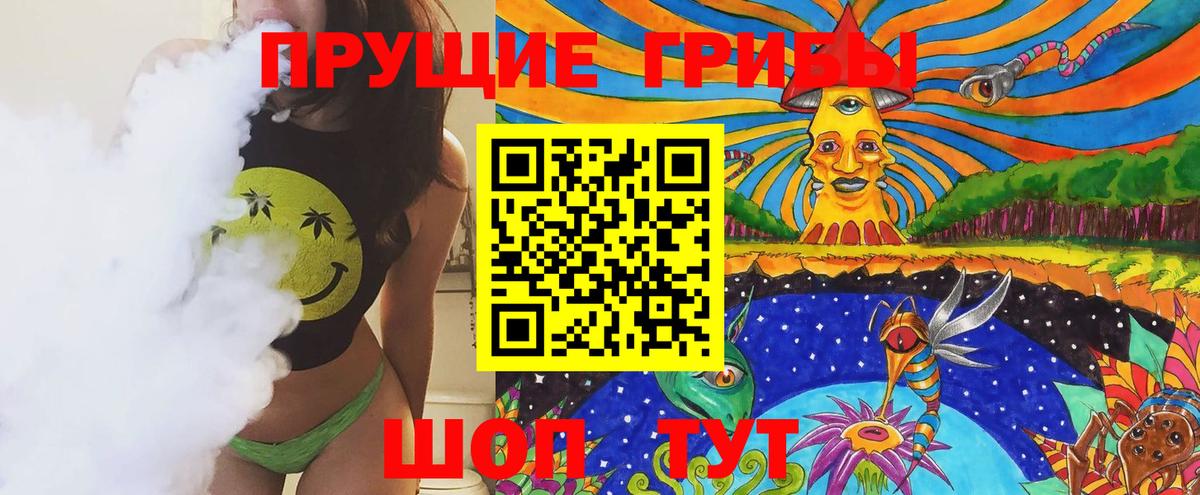 Галлюциногенные грибы GOLDEN TEACHER  Псилоцибиновые грибы MAGIC MUSHROOMS  Вход с VPN  наркошоп  Вольск 